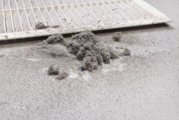 Best Commercial Air Duct Cleaning  in Jacksonville, AL